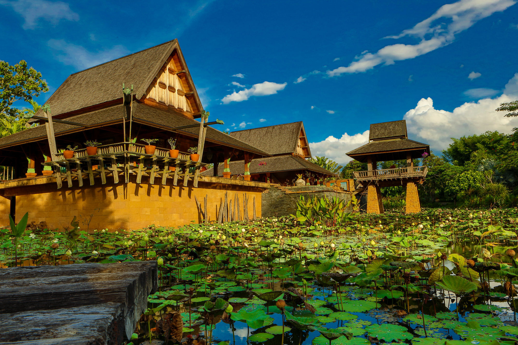 Howie'S Homestay Mae Rim Esterno foto