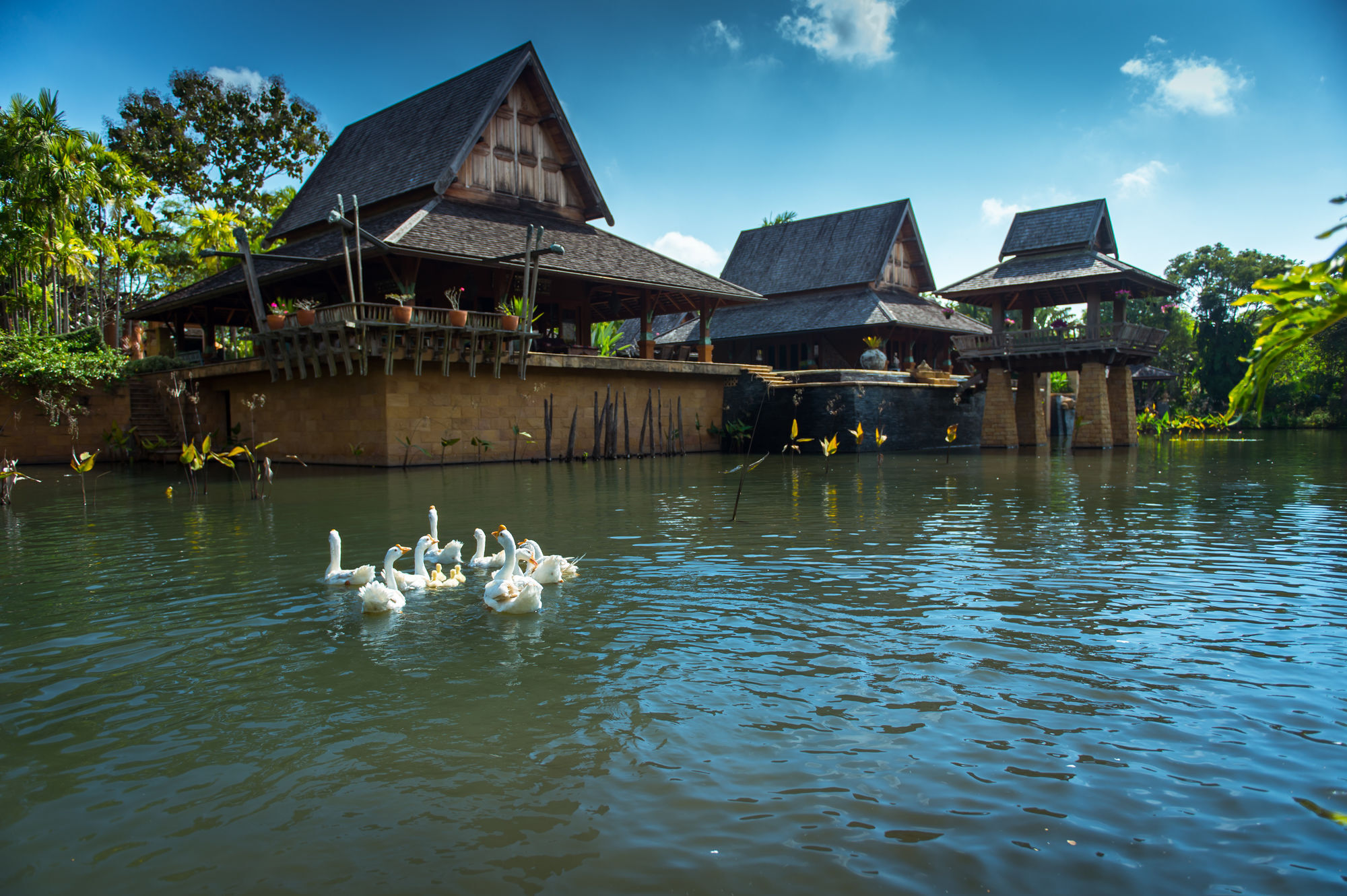 Howie'S Homestay Mae Rim Esterno foto